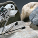 Image for article titled Jumping Robot Leaps Tall Rocks and Plants In Single Bound